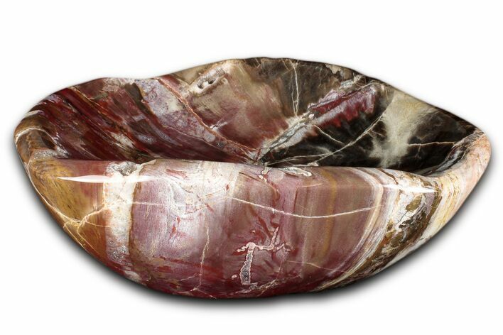 Colorful Polished Petrified Wood Bowl - Madagascar #346828
